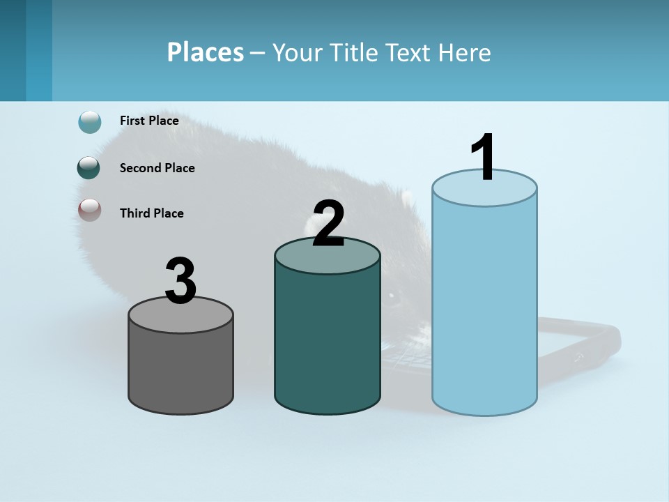 A Ferret Looking At A Cell Phone On A Blue Background PowerPoint Template