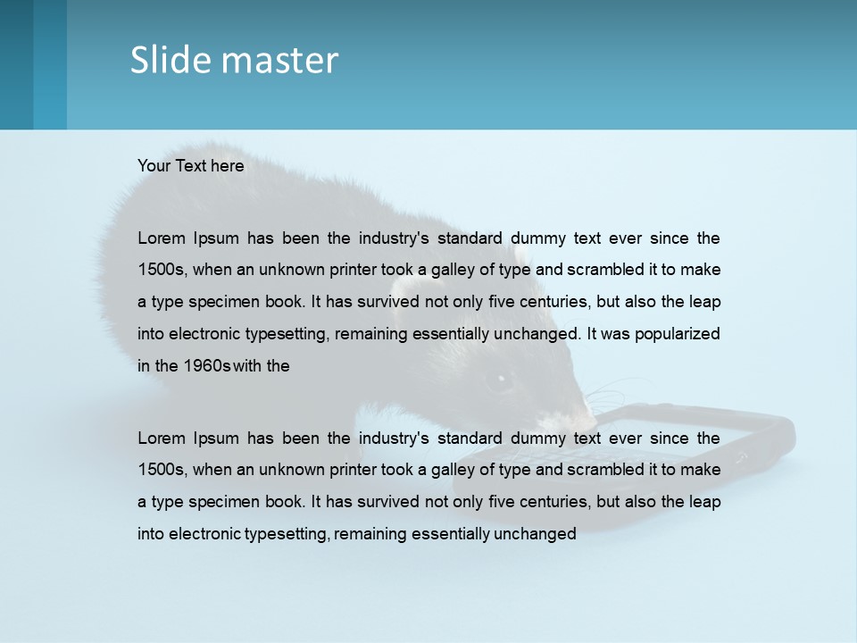 A Ferret Looking At A Cell Phone On A Blue Background PowerPoint Template