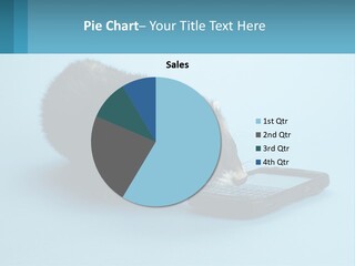 A Ferret Looking At A Cell Phone On A Blue Background PowerPoint Template
