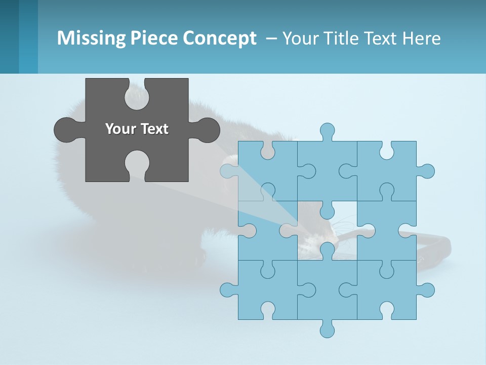 A Ferret Looking At A Cell Phone On A Blue Background PowerPoint Template