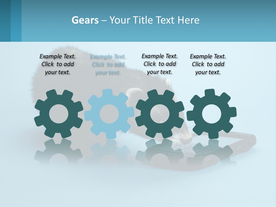 A Ferret Looking At A Cell Phone On A Blue Background PowerPoint Template