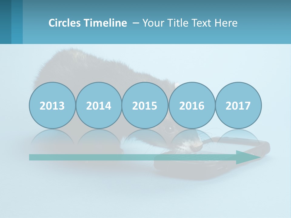 A Ferret Looking At A Cell Phone On A Blue Background PowerPoint Template