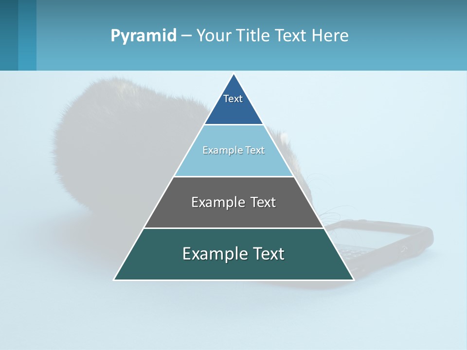A Ferret Looking At A Cell Phone On A Blue Background PowerPoint Template