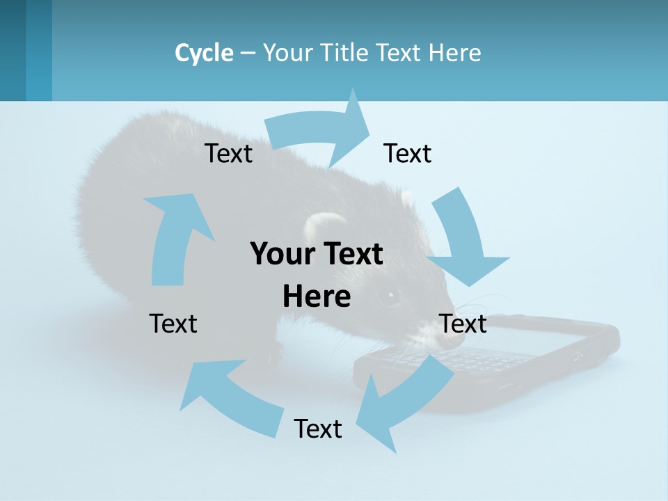 A Ferret Looking At A Cell Phone On A Blue Background PowerPoint Template