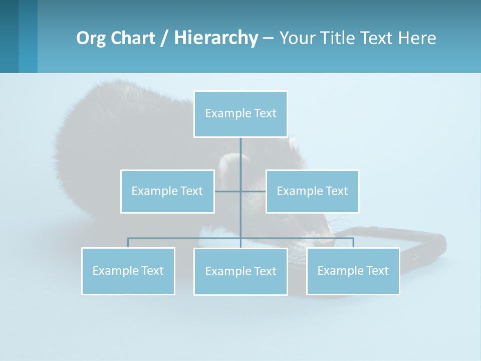 A Ferret Looking At A Cell Phone On A Blue Background PowerPoint Template