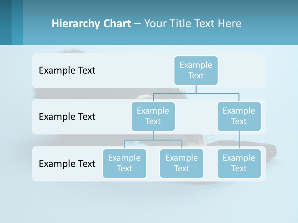 A Ferret Looking At A Cell Phone On A Blue Background PowerPoint Template