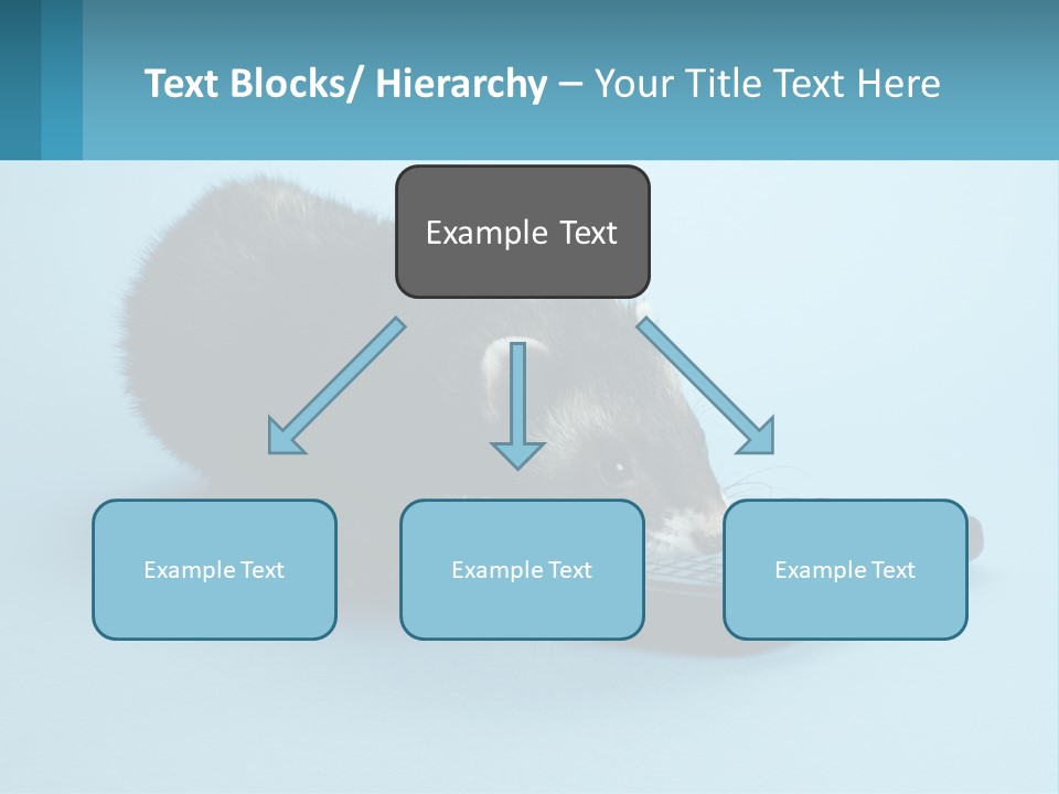 A Ferret Looking At A Cell Phone On A Blue Background PowerPoint Template