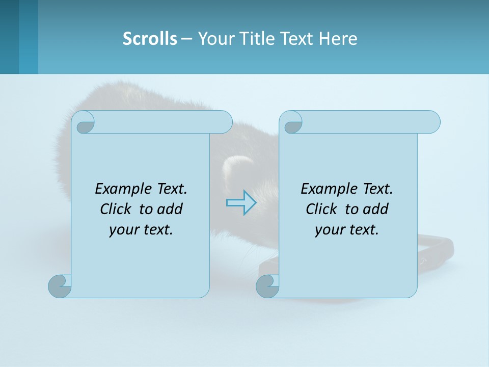 A Ferret Looking At A Cell Phone On A Blue Background PowerPoint Template