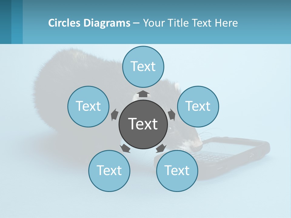 A Ferret Looking At A Cell Phone On A Blue Background PowerPoint Template