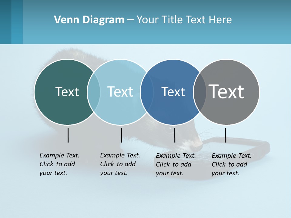 A Ferret Looking At A Cell Phone On A Blue Background PowerPoint Template