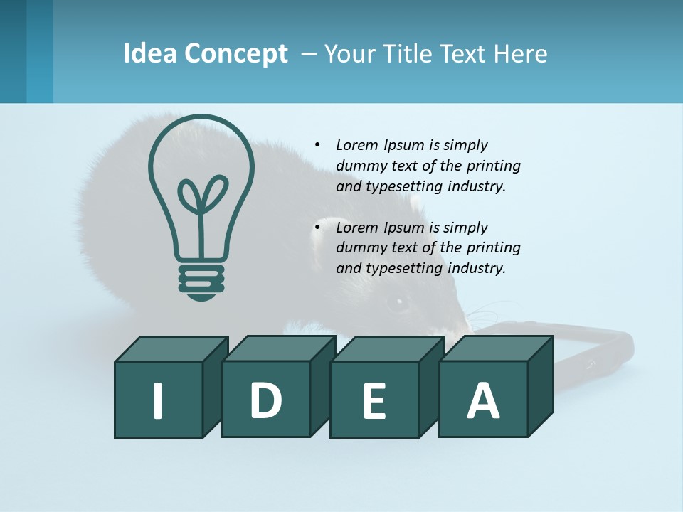 A Ferret Looking At A Cell Phone On A Blue Background PowerPoint Template