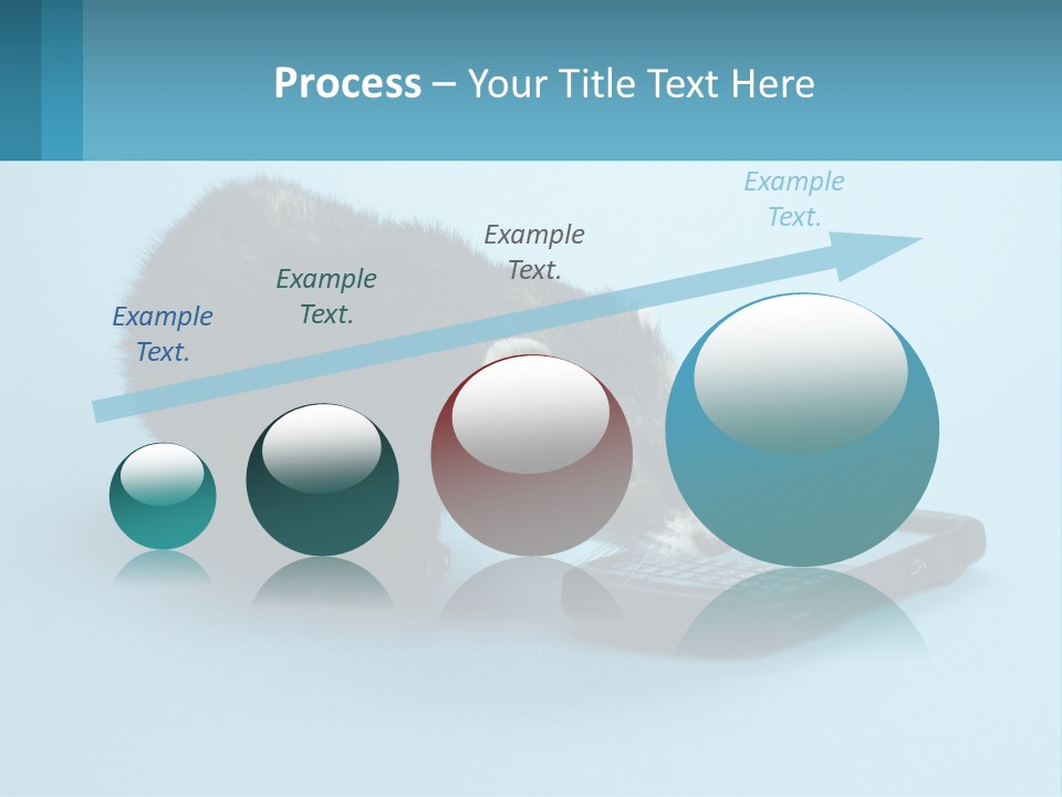 A Ferret Looking At A Cell Phone On A Blue Background PowerPoint Template