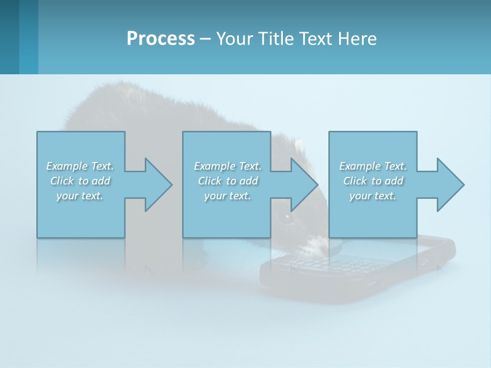 A Ferret Looking At A Cell Phone On A Blue Background PowerPoint Template