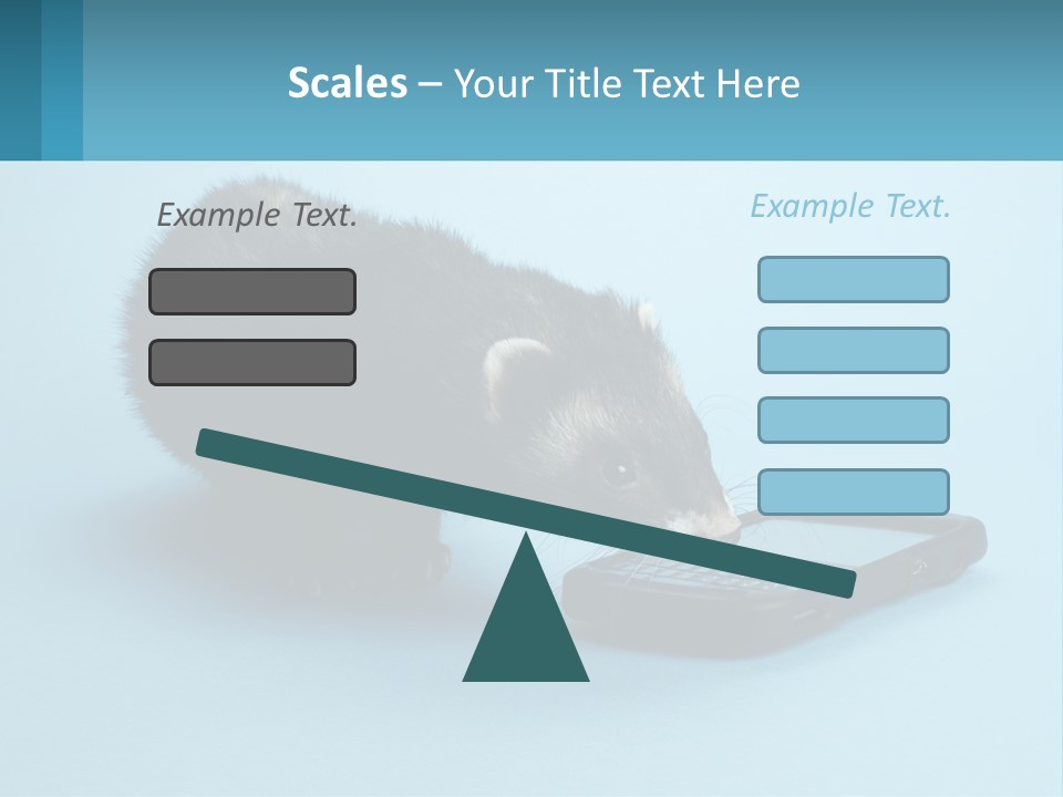 A Ferret Looking At A Cell Phone On A Blue Background PowerPoint Template