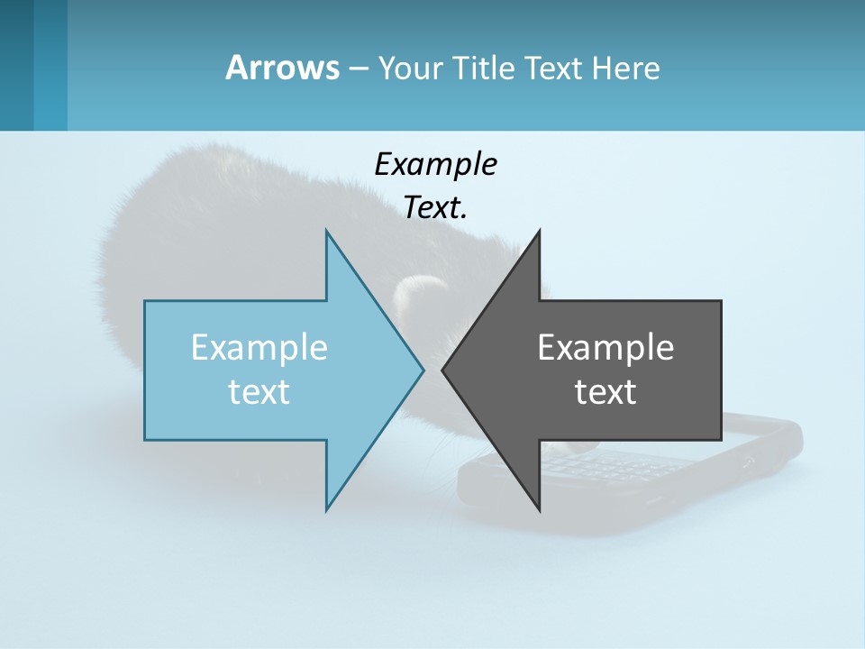 A Ferret Looking At A Cell Phone On A Blue Background PowerPoint Template