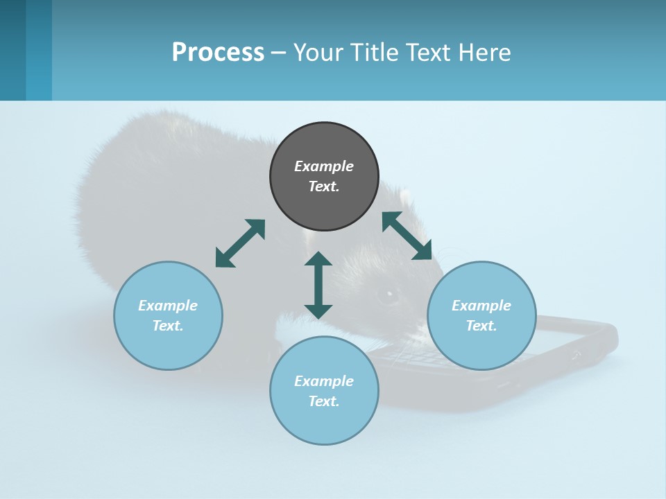 A Ferret Looking At A Cell Phone On A Blue Background PowerPoint Template