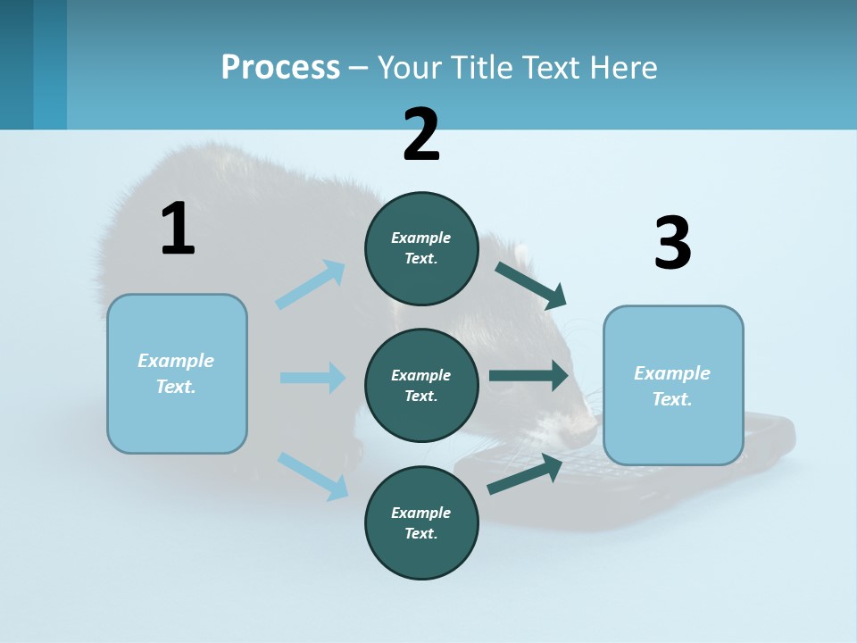 A Ferret Looking At A Cell Phone On A Blue Background PowerPoint Template