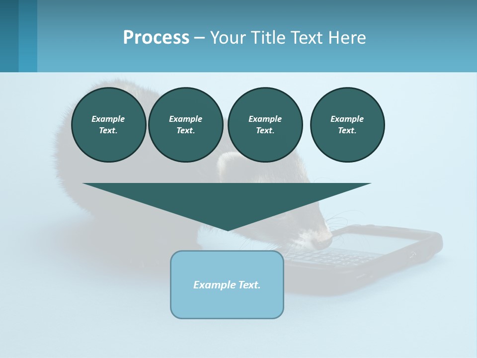 A Ferret Looking At A Cell Phone On A Blue Background PowerPoint Template