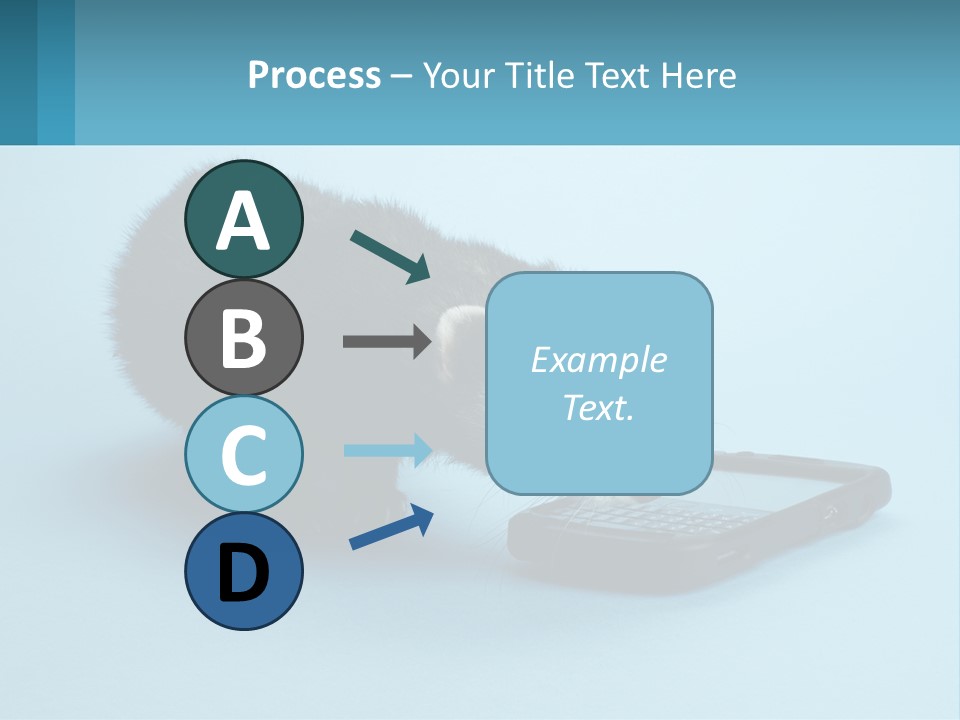 A Ferret Looking At A Cell Phone On A Blue Background PowerPoint Template