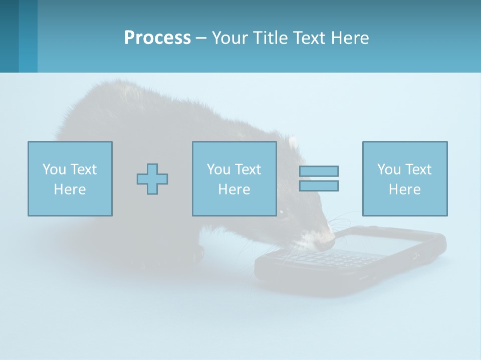 A Ferret Looking At A Cell Phone On A Blue Background PowerPoint Template