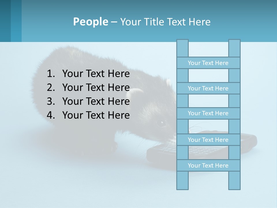 A Ferret Looking At A Cell Phone On A Blue Background PowerPoint Template