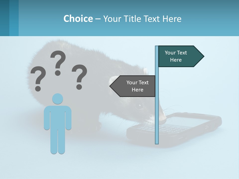 A Ferret Looking At A Cell Phone On A Blue Background PowerPoint Template