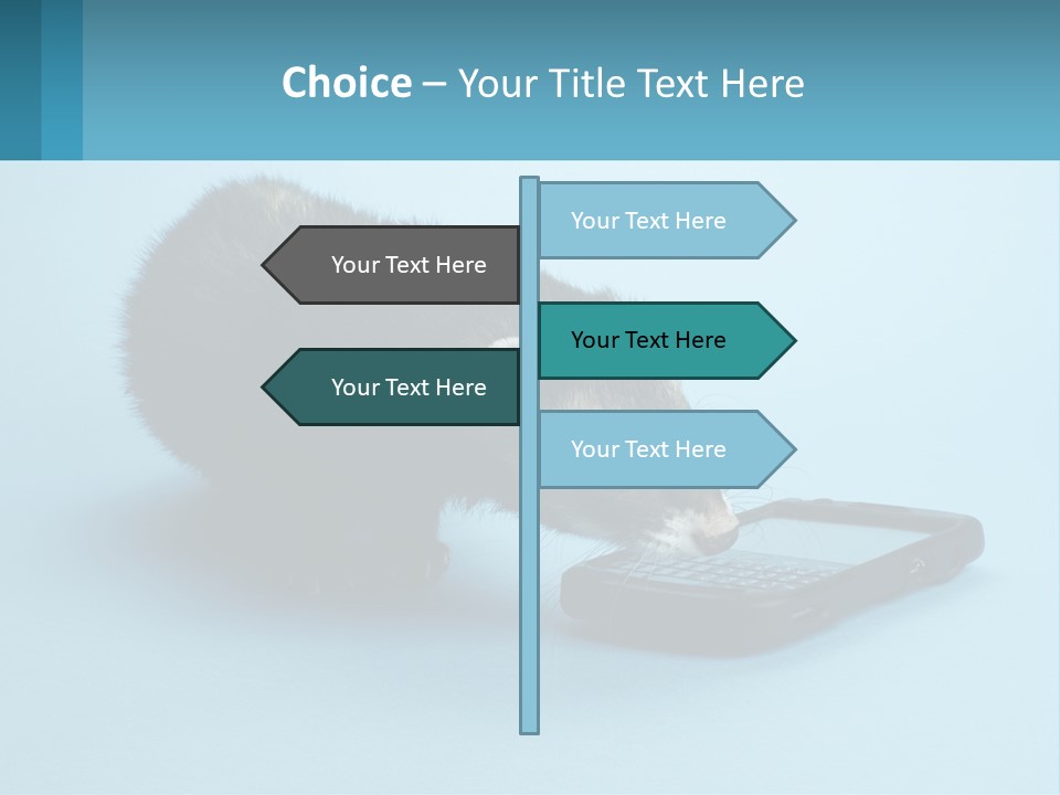 A Ferret Looking At A Cell Phone On A Blue Background PowerPoint Template