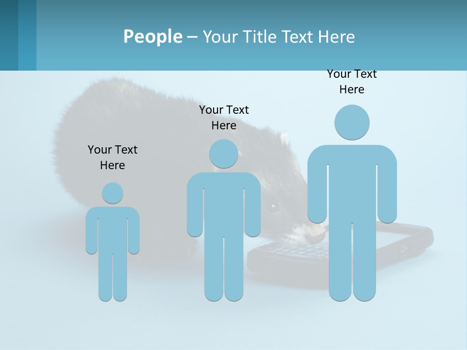 A Ferret Looking At A Cell Phone On A Blue Background PowerPoint Template