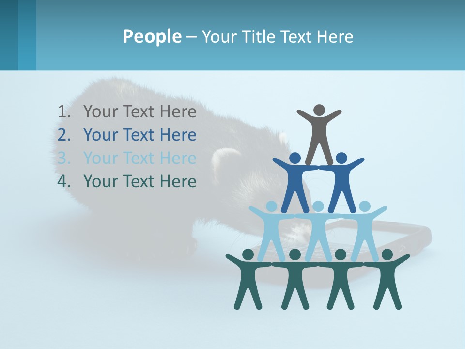 A Ferret Looking At A Cell Phone On A Blue Background PowerPoint Template