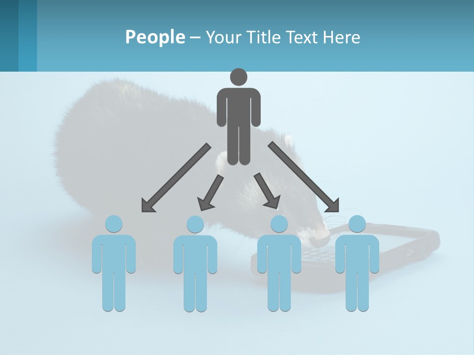 A Ferret Looking At A Cell Phone On A Blue Background PowerPoint Template