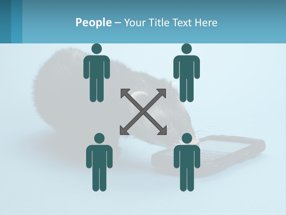 A Ferret Looking At A Cell Phone On A Blue Background PowerPoint Template