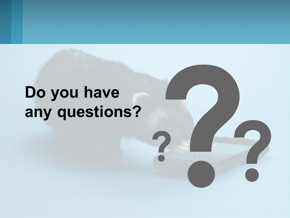 A Ferret Looking At A Cell Phone On A Blue Background PowerPoint Template