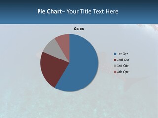A Large Whale Is Swimming In The Ocean PowerPoint Template