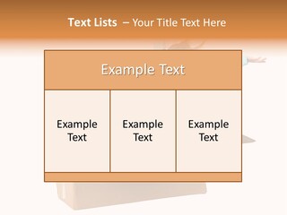 A Couple Of Kids Are In A Box PowerPoint Template