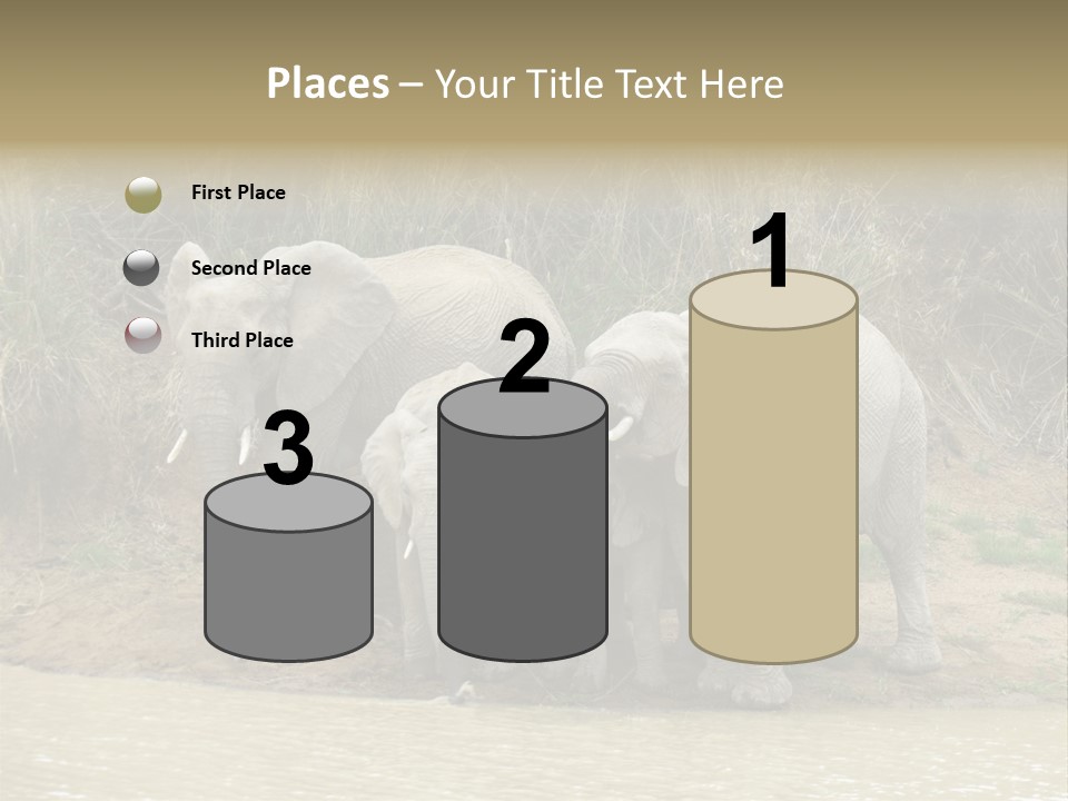 A Herd Of Elephants Standing Next To A Body Of Water PowerPoint Template