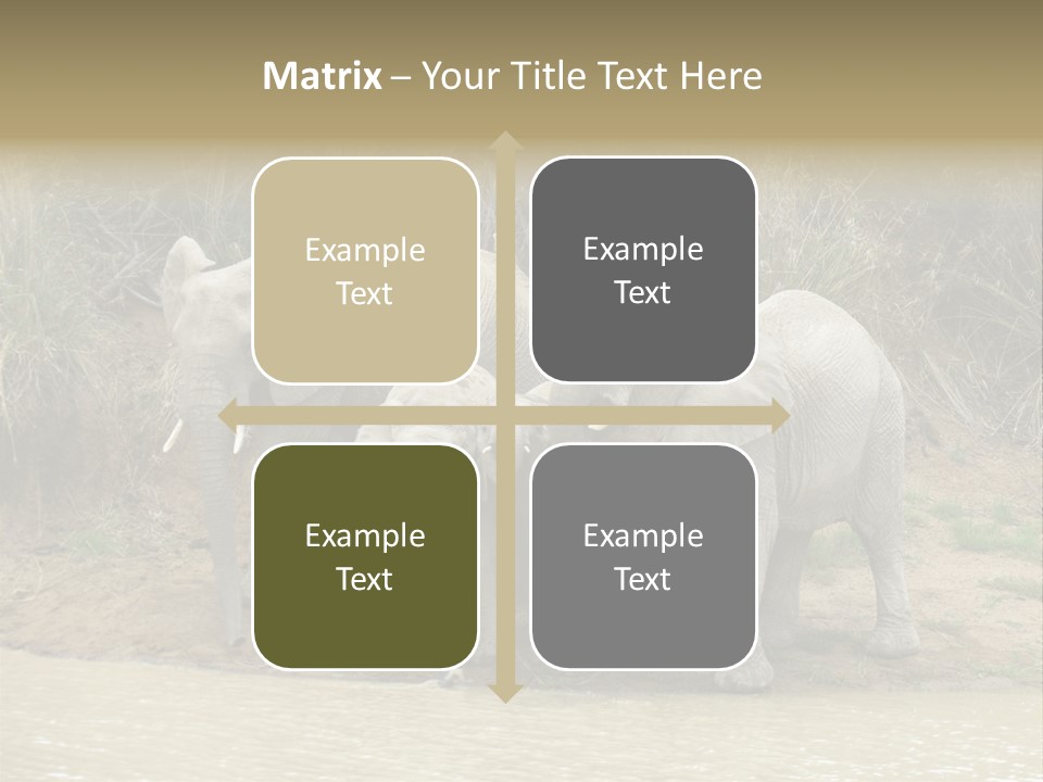 A Herd Of Elephants Standing Next To A Body Of Water PowerPoint Template