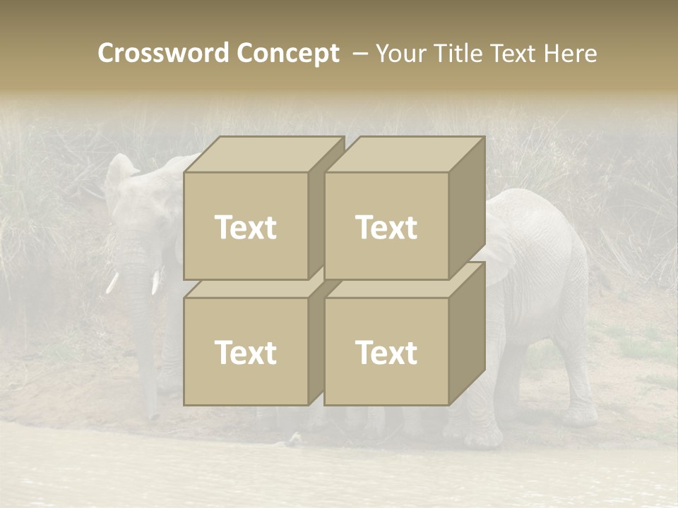 A Herd Of Elephants Standing Next To A Body Of Water PowerPoint Template