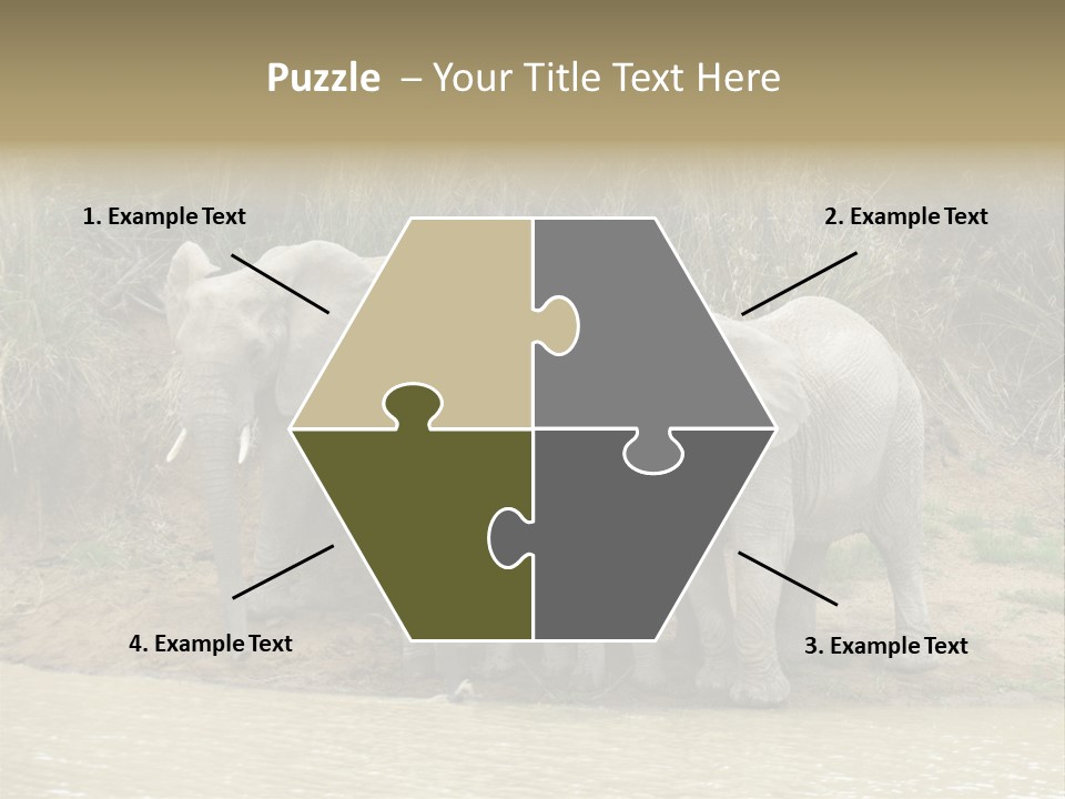 A Herd Of Elephants Standing Next To A Body Of Water PowerPoint Template