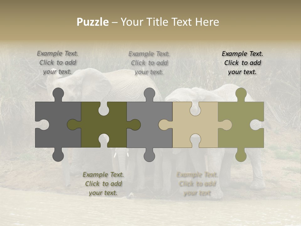 A Herd Of Elephants Standing Next To A Body Of Water PowerPoint Template