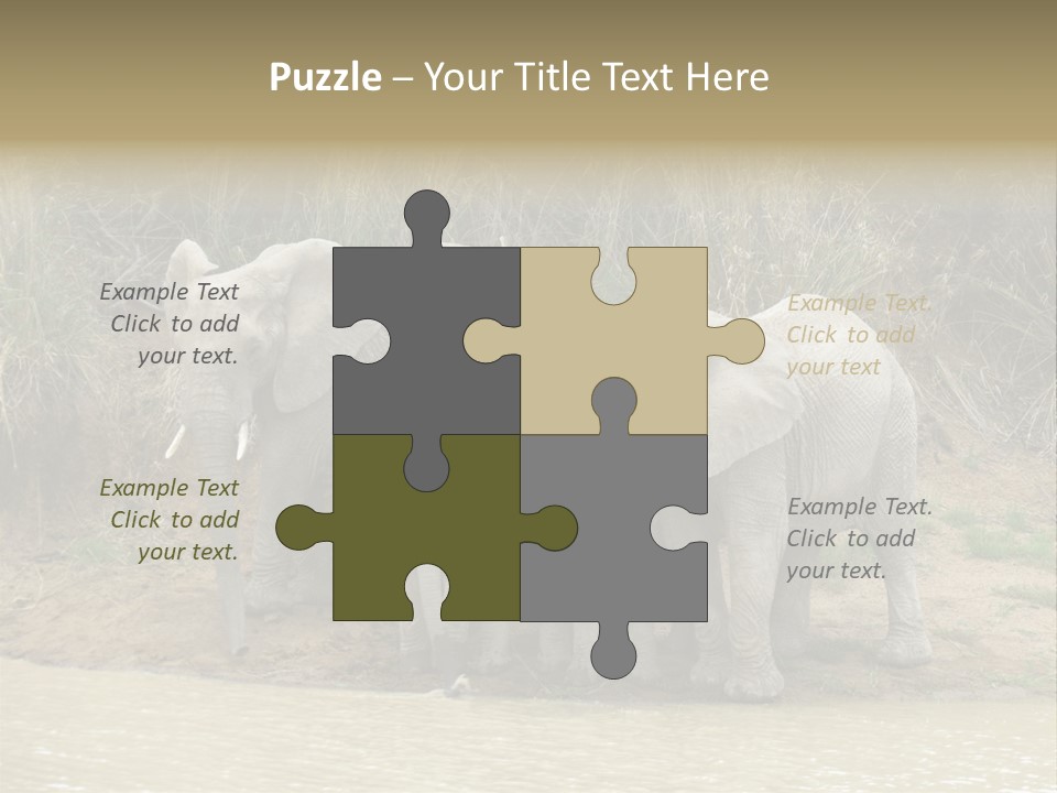 A Herd Of Elephants Standing Next To A Body Of Water PowerPoint Template