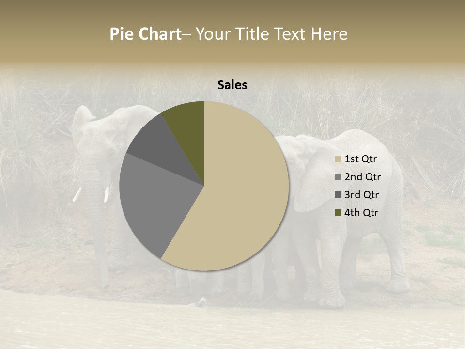 A Herd Of Elephants Standing Next To A Body Of Water PowerPoint Template