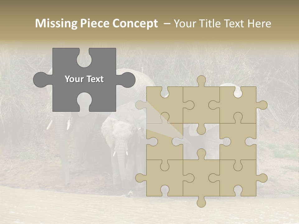 A Herd Of Elephants Standing Next To A Body Of Water PowerPoint Template