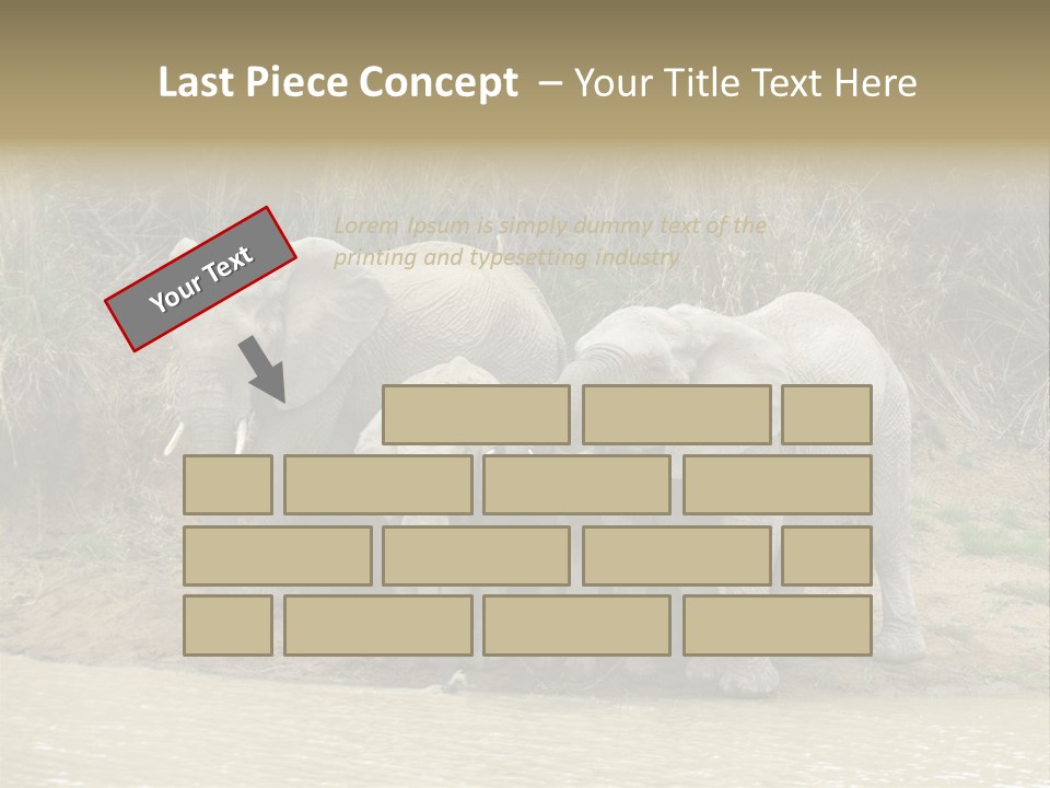 A Herd Of Elephants Standing Next To A Body Of Water PowerPoint Template