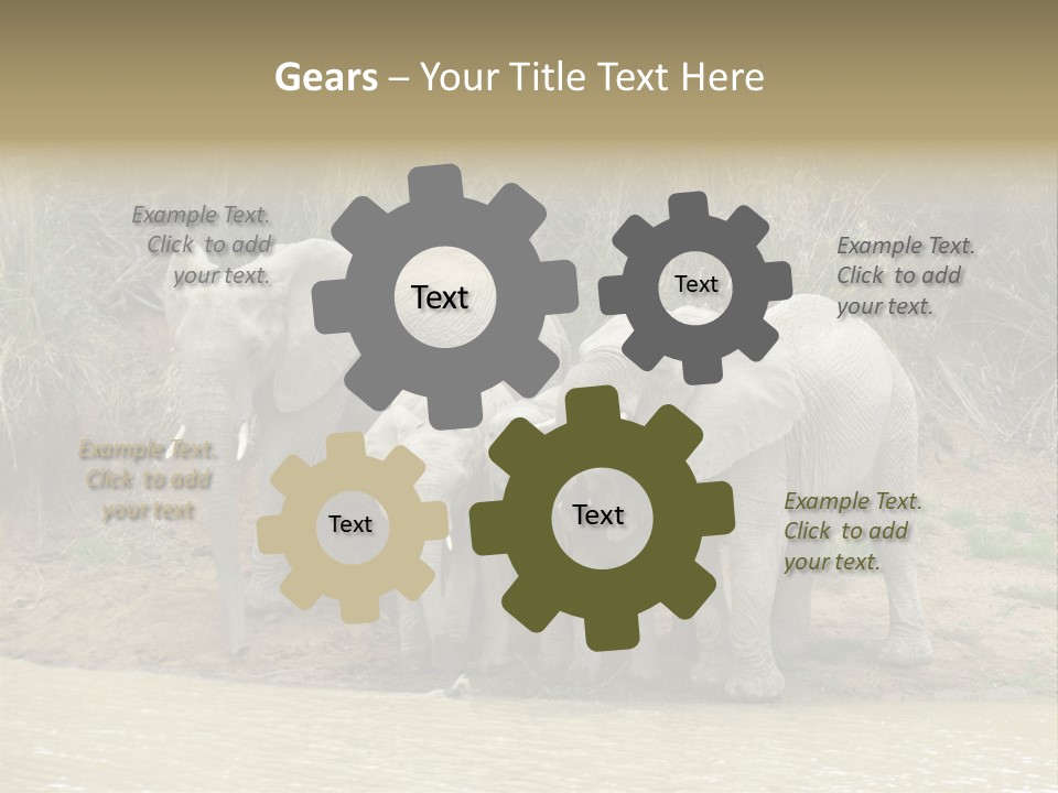 A Herd Of Elephants Standing Next To A Body Of Water PowerPoint Template