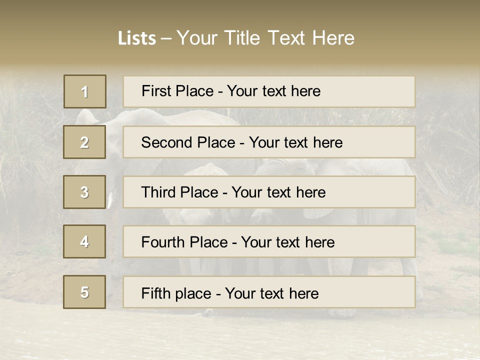 A Herd Of Elephants Standing Next To A Body Of Water PowerPoint Template