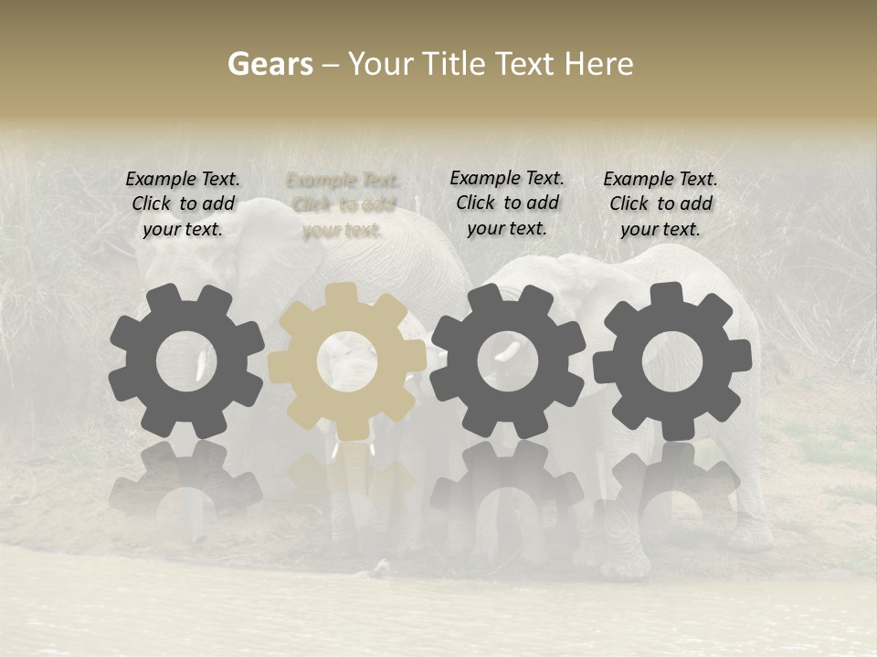 A Herd Of Elephants Standing Next To A Body Of Water PowerPoint Template