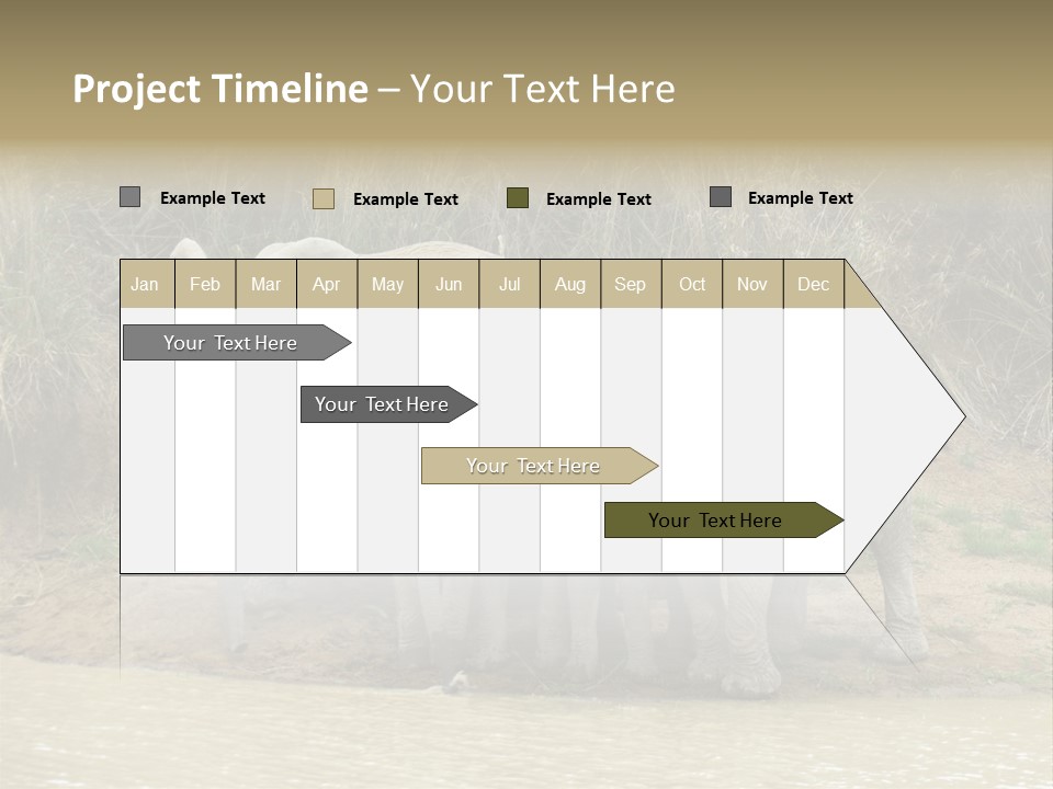 A Herd Of Elephants Standing Next To A Body Of Water PowerPoint Template