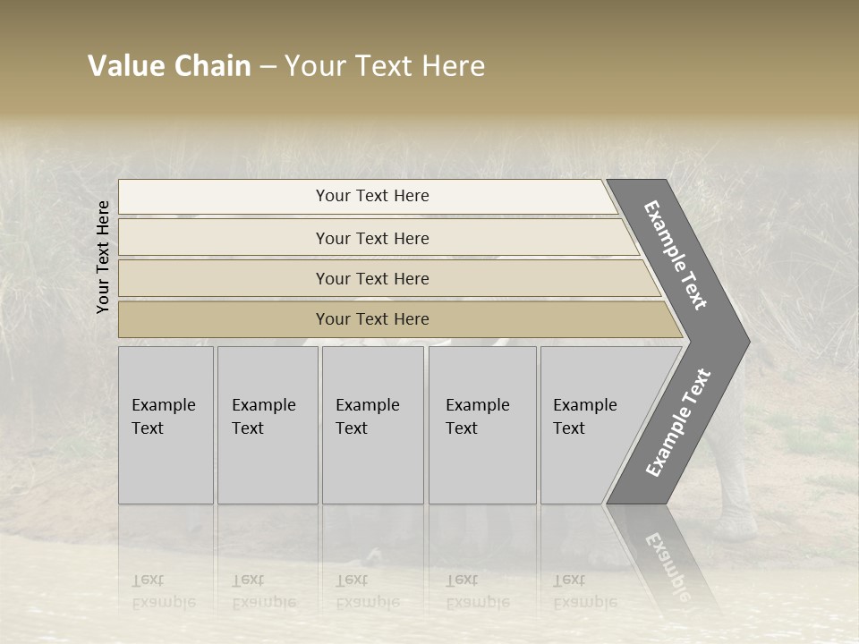 A Herd Of Elephants Standing Next To A Body Of Water PowerPoint Template