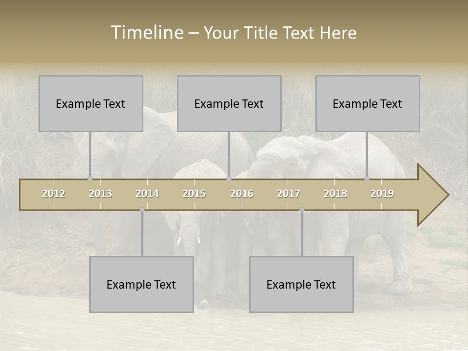 A Herd Of Elephants Standing Next To A Body Of Water PowerPoint Template