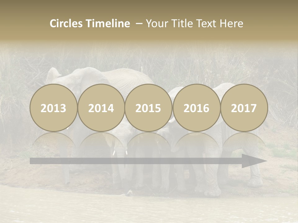 A Herd Of Elephants Standing Next To A Body Of Water PowerPoint Template